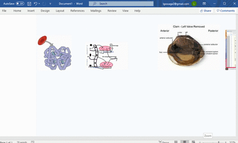 respiratory-proteins-such-as-hemoglobin________-a-contain-metal-ions-b-occur-only-in-vertebrates-c-i
