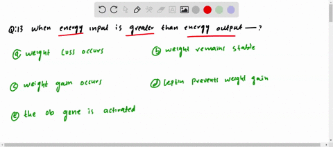 when-energy-input-is-greater-than-energy-output-a-weight-loss-occurs-b-weight-remains-stable-c-weigh