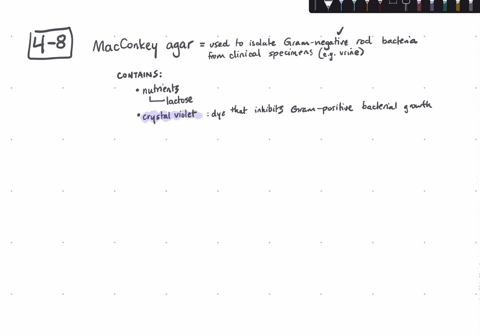 if-the-mathrmph-indicator-were-left-out-of-macconkey-agar-the-medium-would-be-a-complex-b-differenti