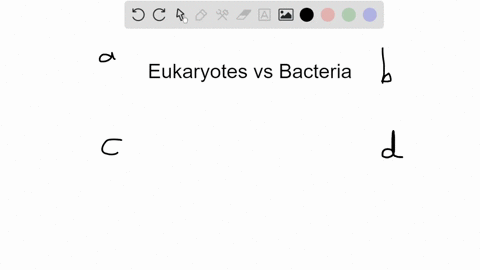 how-is-eukaryotic-dna-replication-different-from-bacterial-dna-replication-a-they-use-entirely-diffe