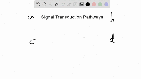 signal-transduction-pathways-a-are-necessary-for-signals-to-cross-the-membrane-b-include-the-intra-3