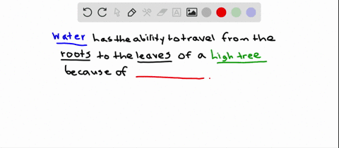 what-features-of-water-explain-how-it-can-be-drawn-up-a-tall-tree-from-roots-to-leaves-a-cohesion--2
