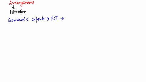 arrange-the-following-structures-into-an-accurate-sequence-through-which-filtrate-passes-1-proximal-
