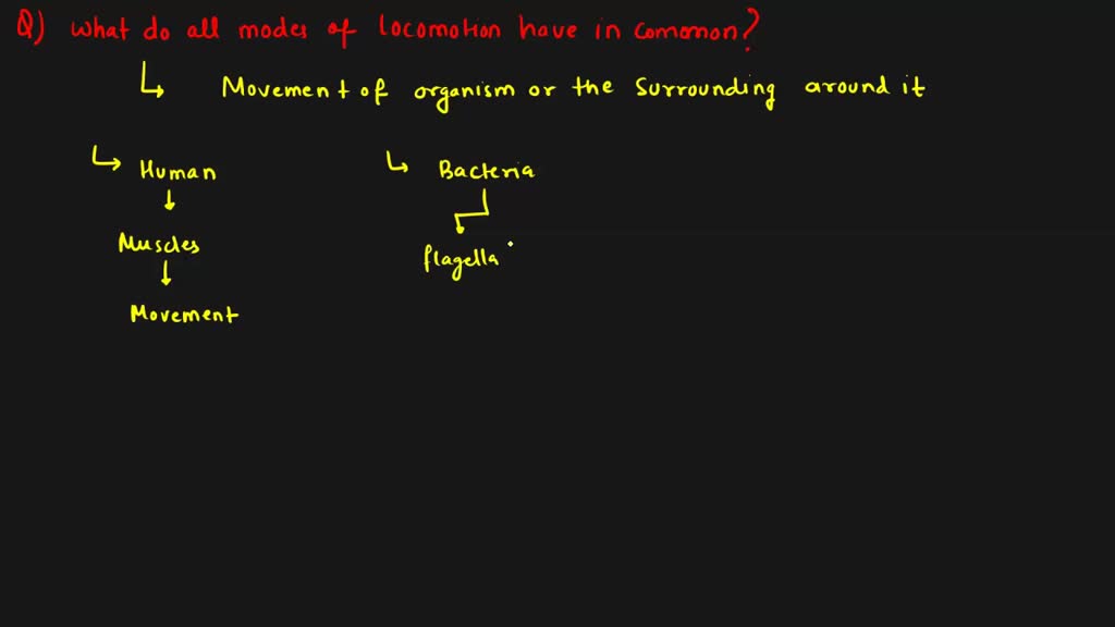 ⏩SOLVEDWhat do all modes of have in common? Numerade