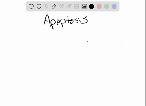 which-of-the-following-occurs-during-apoptosis-a-lysis-of-the-cell-b-direct-contact-between-signalin