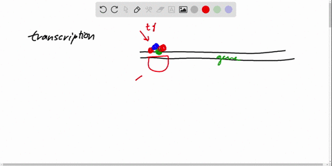 what-would-be-the-outcome-of-a-mutation-that-prevented-dna-binding-proteins-from-being-produced-a-de