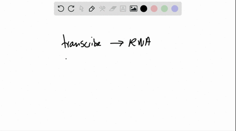 rnas-form-by-__________-proteins-form-by-__________-a-replication-translation-b-translation-transc-2