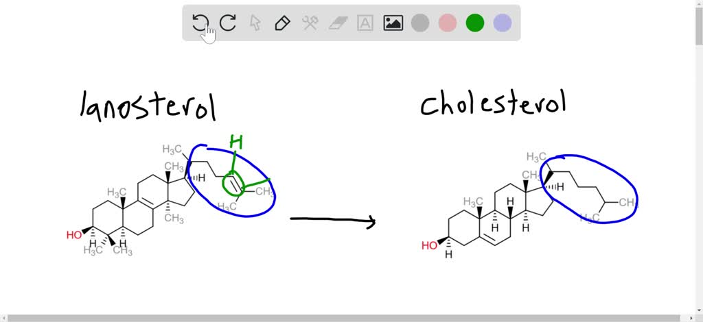 SOLVED:Compare the structures of lanosterol and cholesterol, and ...