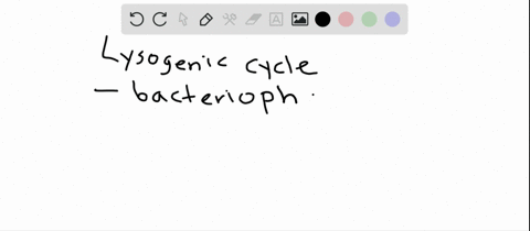 in-the-lysogenic-cycle-of-bacteriophage-lambda-a-a-repressor-ci-blocks-the-lytic-cycle-b-the-bacte-2