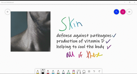 functions-of-skin-include-____-a-defense-against-pathogens-b-production-of-vitamin-d-c-helping-to-co