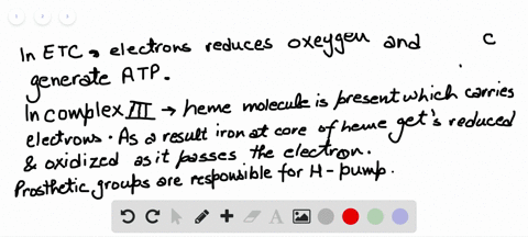 what-is-the-function-of-an-electron-in-the-electron-transport-chain-a-to-dephosphorylate-atp-produci