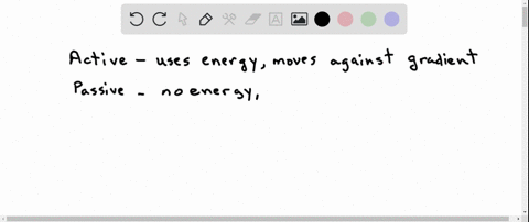 which-of-the-following-is-an-active-transport-mechanism-a-proton-pump-c-symport-b-ion-channel-d-osmo