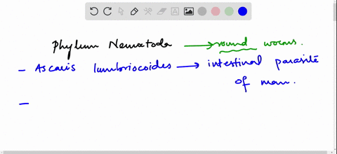 which-of-the-following-is-not-a-nematode-a-hookworm-b-trichina-worm-c-ascaris-d-leech-e-pinworm