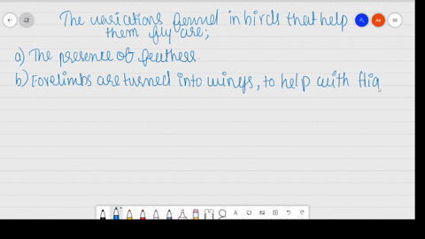 what-are-the-modifications-that-are-observed-in-birds-that-help-them-fly