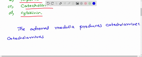 the-adrenal-medulla-secretes-two-hormones-called-adrenaline-or-epinephrine-and-nor-adrenaline-or-nor