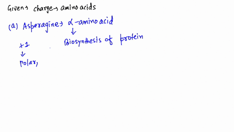 at-5mathrmph8-which-of-the-following-amino-acids-has-a-net-positive-charge-which-has-a-net-negative-
