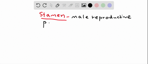 a-stamen-contains-a-a-style-b-stigma-c-filament-d-carpel