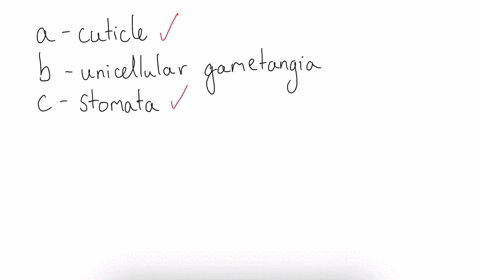 which-of-the-following-is-not-a-characteristic-of-plants-a-cuticle-b-unicellular-gametangia-c-stom-5