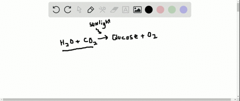 what-two-products-result-from-photosynthesis-a-water-and-carbon-dioxide-b-water-and-oxygen-c-glucose