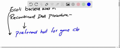 why-are-e-coli-bacteria-used-in-recombinant-dna-procedures