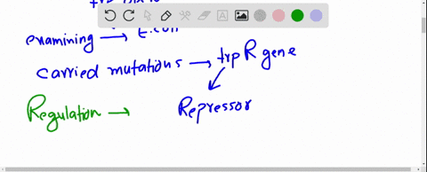 transcription-attenuation-how-would-transcription-of-the-e-coli-trp-operon-be-affected-by-the-follow