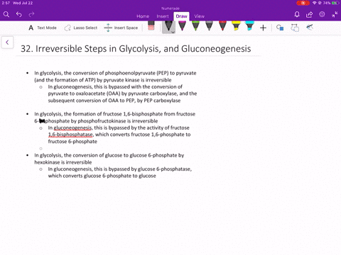 how-are-the-irreversible-reactions-of-glycolysis-bypassed-in-gluconeogenesis