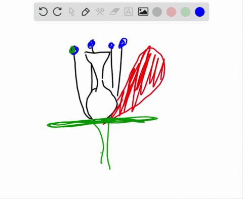 in-angiosperms-which-of-the-following-is-correctly-paired-with-its-chromosome-count-a-microspore-n-b