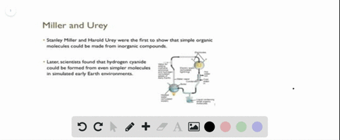 SOLVED:Urey and Miller proposed that a series of reactions occurred, which ultimately resulted in amino acid formation. Which of the following is true based upon their theory? a. Hydrogen and nitrogen combined SOLVED:Urey and Miller proposed that a series of reactions occurred, which ultimately resulted in amino acid formation. Which of the following is true based upon their theory? a. Hydrogen and nitrogen combined