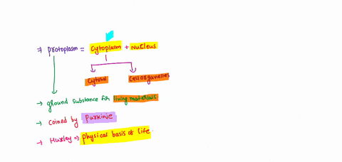 which-one-of-the-followings-are-included-in-protoplasm-i-nucleus-ii-cytoplasm-iii-organelles-iv-nucl