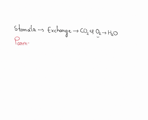 the-stomata-are-enclosed-by-a-parenchyma-b-cuticle-c-lignin-d-guard-cells
