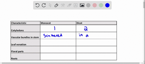 questions-2-7-choose-from-the-terms-below-a-monocot-b-dicot-taproots