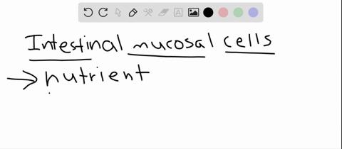 which-statement-about-nutrient-absorption-by-the-intestinal-mucosal-cells-is-true-a-carbohydrates--2