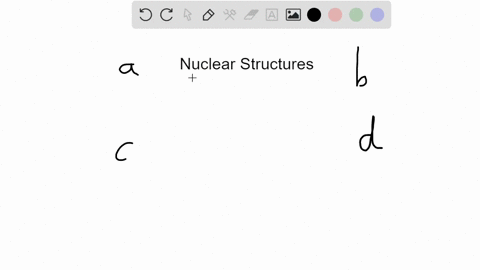 which-of-the-following-nuclear-structures-is-not-correctly-matched-with-its-function-a-the-nucleolus