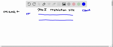 redraw-figure-10-7-so-that-the-cdna-can-insert-into-an-xhoi-site-of-a-vector-rather-than-into-an-e-c