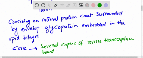endogenous-retroviruses-and-the-human-genome-sequencing-studies-have-led-to-the-assertion-that-rough