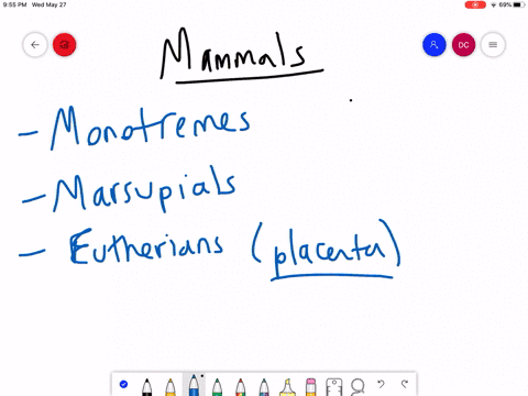 which-of-the-following-is-a-monotreme-a-kangaroo-b-koala-c-bandicoot-d-platypus