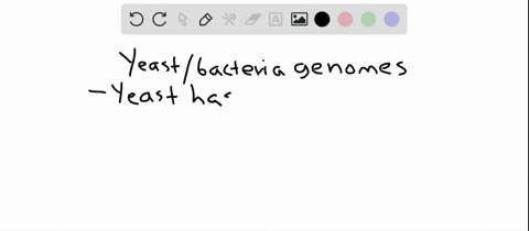comparison-of-the-genomes-of-yeast-and-bacteria-shows-that-only-yeast-has-many-genes-for-a-energy-me