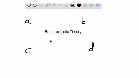 the-endosymbiotic-theory-explains-the-a-origin-of-the-first-prokaryotic-cells-b-origins-of-mitochond