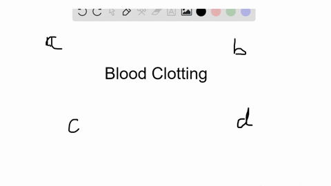 which-of-the-following-are-not-involved-in-blood-clotting-a-calcium-ions-b-lymphocytes-c-platelets-d