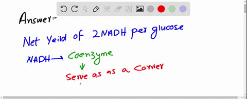 in-figure-28-3-step-5-yields-one-nadh-yet-in-table-28-1-the-same-step-indicates-a-yield-of-2-mathrmn