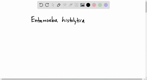 which-protozoan-is-associated-with-the-ability-to-cause-severe-dysentery-a-giardia-lamblia-b-cryptos