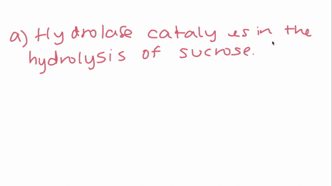 what-is-the-name-of-the-class-of-enzymes-that-catalyzes-each-of-the-following-reactions-a-hydrolyzin