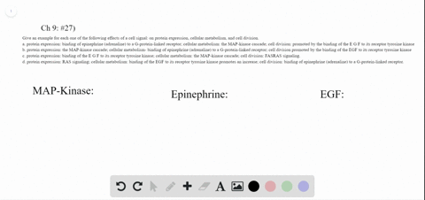give-an-example-for-each-one-of-the-following-effects-of-a-cell-signal-on-protein-expression-cellula