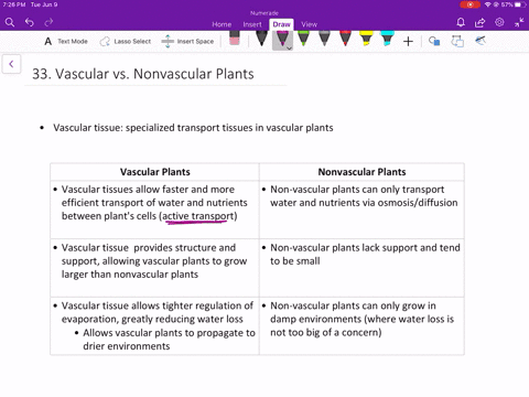 distinguish-between-vascular-and-nonvascular-plants-chapter-21