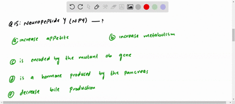 neuropeptide-y-npy-a-increases-appetite-b-increases-metabolism-c-is-encoded-by-the-mutant-ob-gene-d-