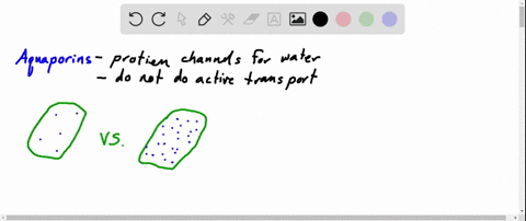 compared-with-a-cell-with-few-aquaporin-proteins-in-its-membrane-a-cell-containing-many-aquaporin--2