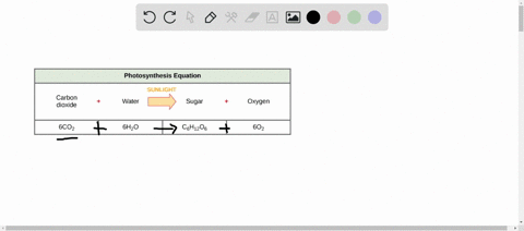 write-and-then-explain-the-equation-for-photosynthesis