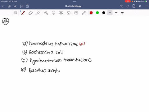 which-of-the-following-bacteria-is-not-a-source-of-restriction-endonuclease-a-haemophilus-influenzae