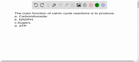 the-main-function-of-the-calvin-cycle-reactions-is-to-produce-a-carbon-dioxide-c-nadph-b-sugars-d-at