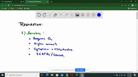 what-are-two-different-ways-in-which-atp-is-generated-in-cellular-respiration